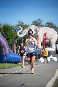 BIB: 
                            <button type="button" onclick="openModal(26543879)" class="btn btn-primary btn-sm float-right btn-popup" data-toggle="modal" data-target=".modal-high-quality">
                        <i class="fas fa-shopping-cart"></i> Add to Cart
                    </button>
                                            <button type="button" onclick="isThisMe(26543879, true)" class="btn btn-success btn-sm float-right btn-popup btn-isme hidden" data-toggle="tooltip" data-placement="bottom" title="นี่คือรูปของคุณใช่ไหม คลิกที่นี่เพื่อเอาเข้าอัลบั้ม">
                        <i class="fas fa-plus"></i> Add to album
                    </button>
                    <button type="button" onclick="isThisMe(26543879, false)" class="btn btn-warning btn-sm float-right btn-popup btn-isnotme hidden">
                        <i class="fas fa-ban"></i> Remove from album
                    </button>